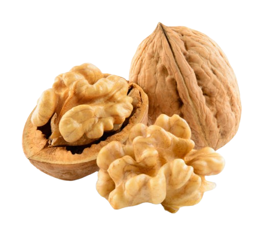 Walnut 